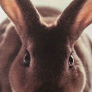 Meet your Posher, Patti